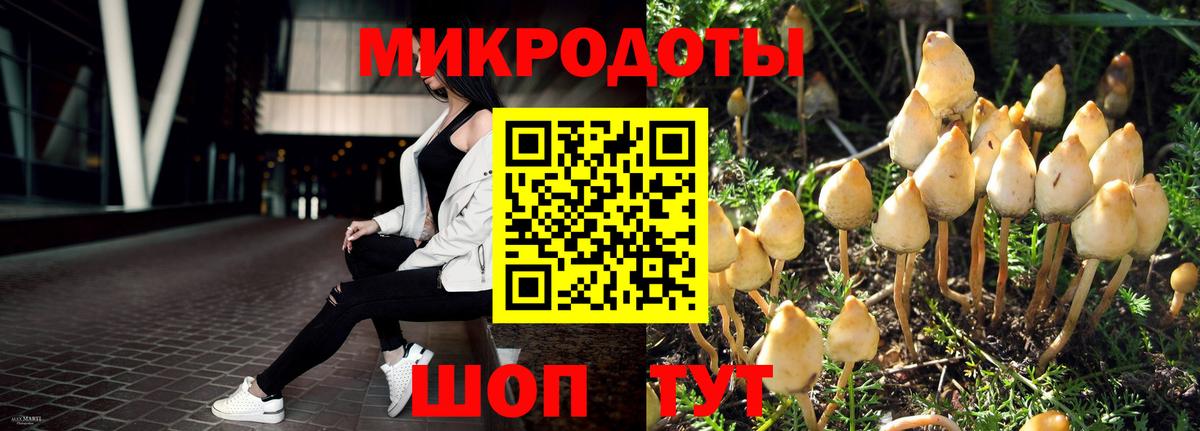 Псилоцибиновые грибы Psilocybine cubensis  Вход с VPN  Ярцево  Галлюциногенные грибы GOLDEN TEACHER 
